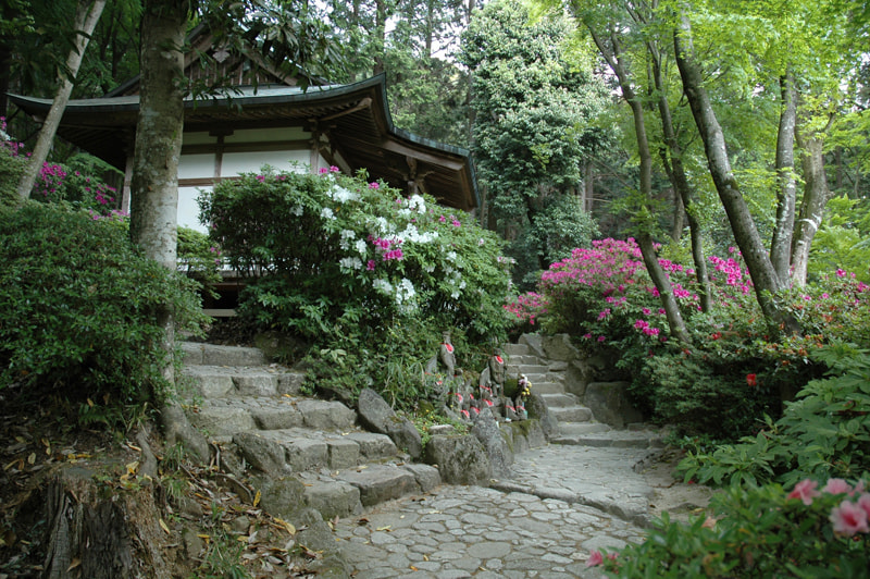 裏山参道の入口